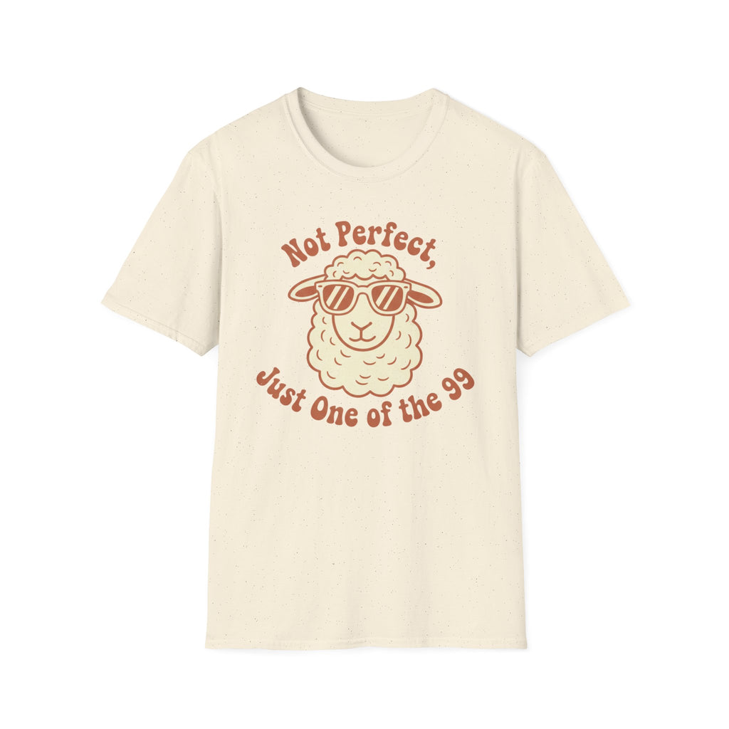 Not Perfect T-Shirt