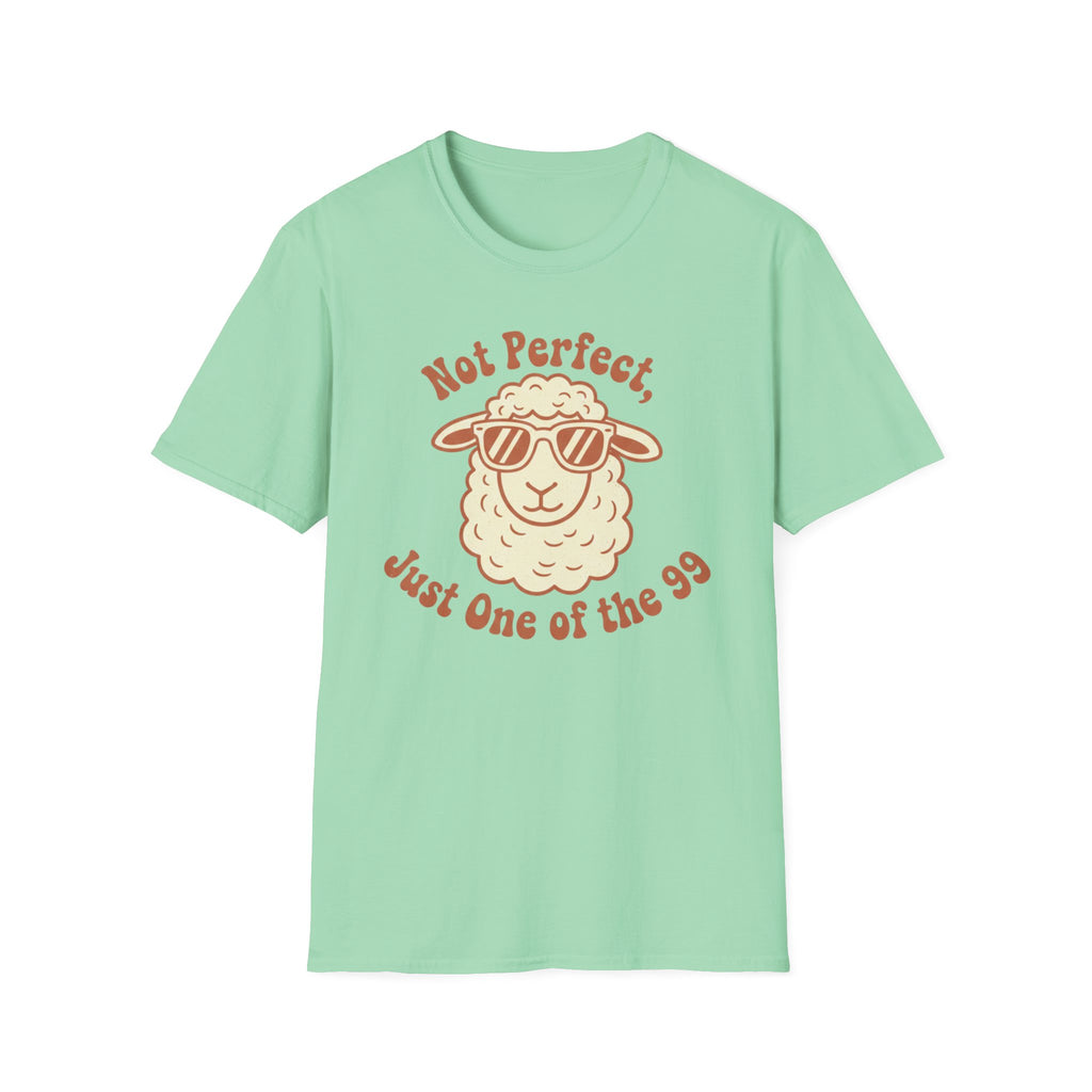 Not Perfect T-Shirt