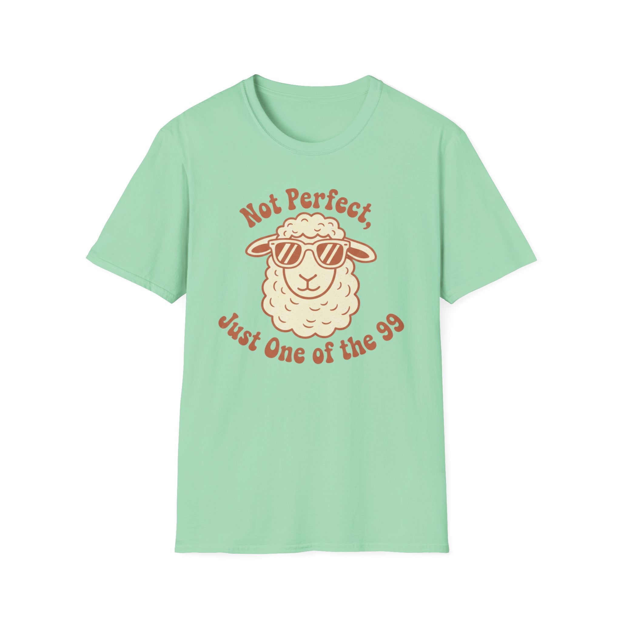 Not Perfect T-Shirt