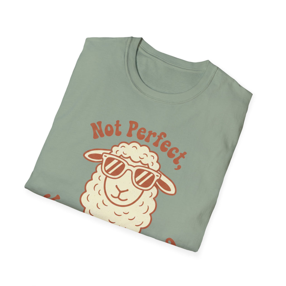 Not Perfect T-Shirt