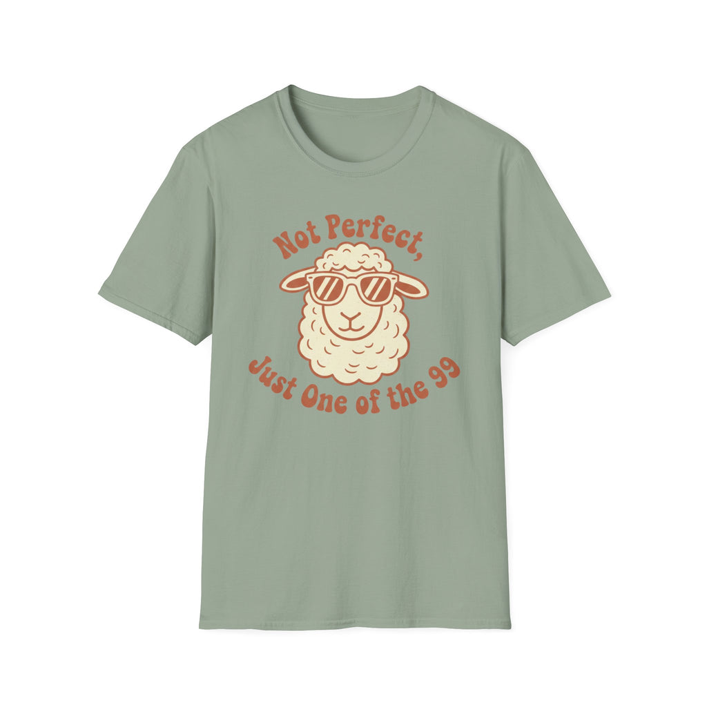 Not Perfect T-Shirt